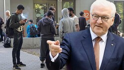 Die Linke hat mit heftiger Kritik auf die Forderung von Deutschlands Bundespräsidenten Frank-Walter Steinmeier, die Migration nach Deutschland zu begrenzen, reagiert. (Bild: AP, AFP, Krone KREATIV)