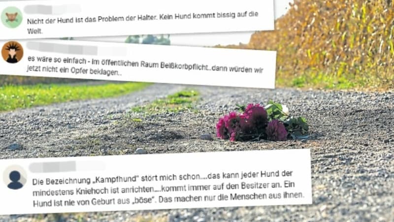 In der großen „Krone“-Leserfamilie gehen die Wogen hoch. (Bild: Horst Einöder/Flashpictures/„Krone“/zVg)