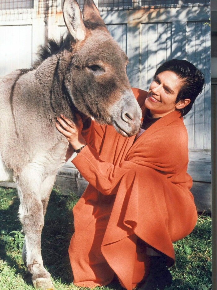 Neun Ponys und ein Esel fanden durch die Tierecke ein neues Zuhause.