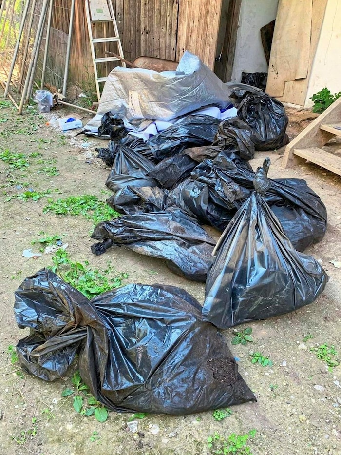 35 tote Hunde in Müllsäcke verpackt, die teilweise erschlagen wurden.