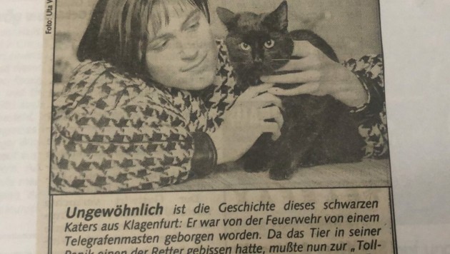 (Bild: Krone-Archiv)