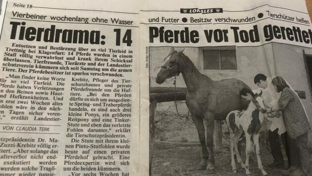 (Bild: Krone-Archiv)