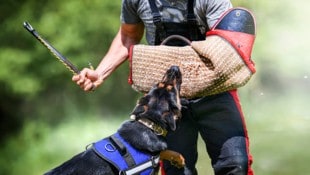 Tierfreunde jubeln: Bilder wie diese werden in Österreich bald der Vergangenheit angehören. (Bild: Milan - stock.adobe.com)