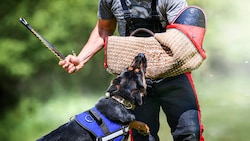 Tierfreunde jubeln: Bilder wie diese werden in Österreich bald der Vergangenheit angehören. (Bild: Milan - stock.adobe.com)