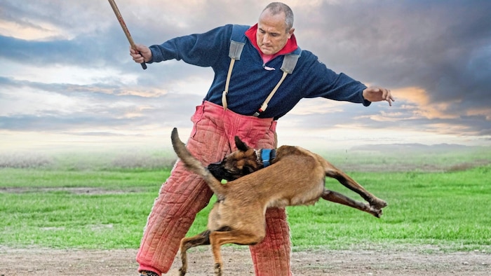 „Wenn man sich die Realität auf den Hundeplätzen ansieht, ist es besser, man verbietet es ...
