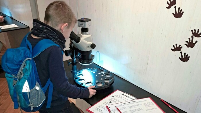 Selbst durchs Mikroskop schauen im Kärnten Museum: Die Ausstellung erkunden!