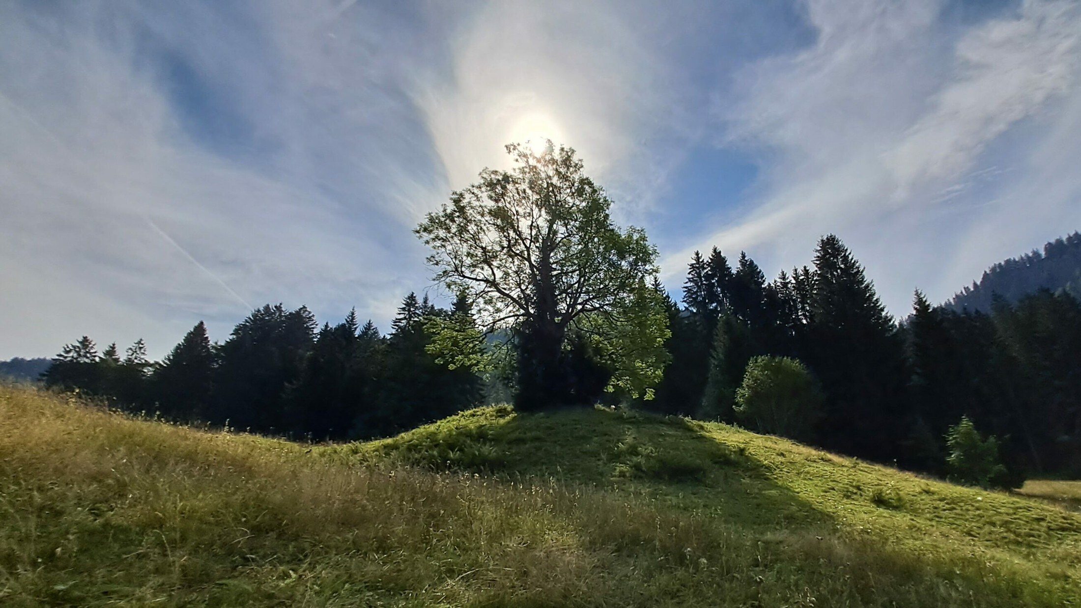 Schönste Wanderrouten - Naturparadies zwischen zwei Ländern | krone.at