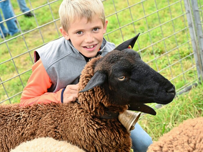 Kinder waren von den Schafen begeistert.