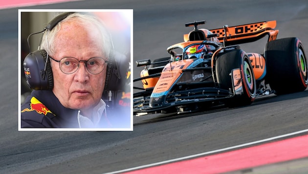 Helmut Marko, Oscar Piastris McLaren (Bild: APA/AFP/Giuseppe CACACE, GEPA)