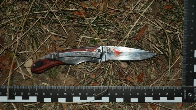 Mit diesem Messer stach der Verdächtige auf die beiden Lokalgäste ein. (Bild: LPD Wien)