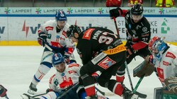 Das Westderby war hart umkämpft, Haie-Goalie Evan Buitenhuis bewahrte die Ruhe. (Bild: Rothmund_Pioneers.hockey)