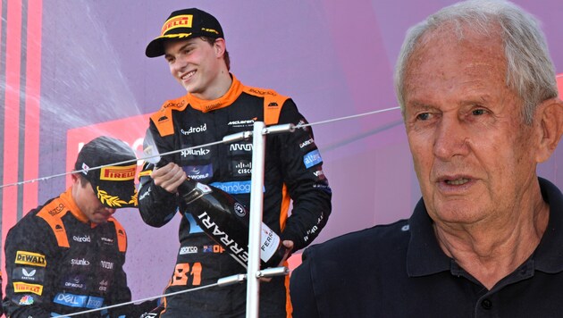 Helmut Marko (r.) zieht seinen Hut vor dem McLaren-Duo. (Bild: APA/AFP/Kazuhiro NOGI, Gepa)