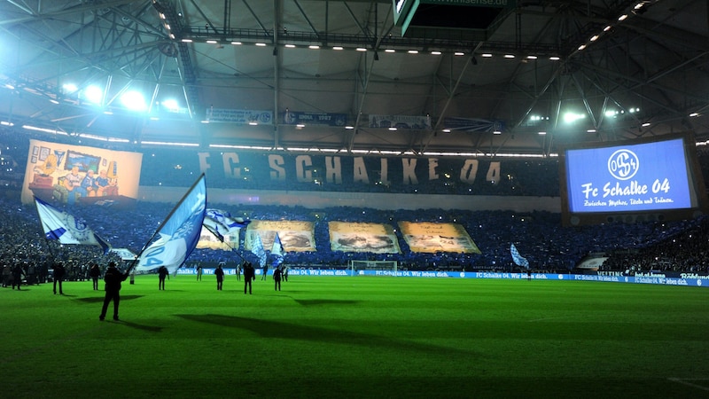 Arena Auf Schalke (Bild: GEPA pictures)
