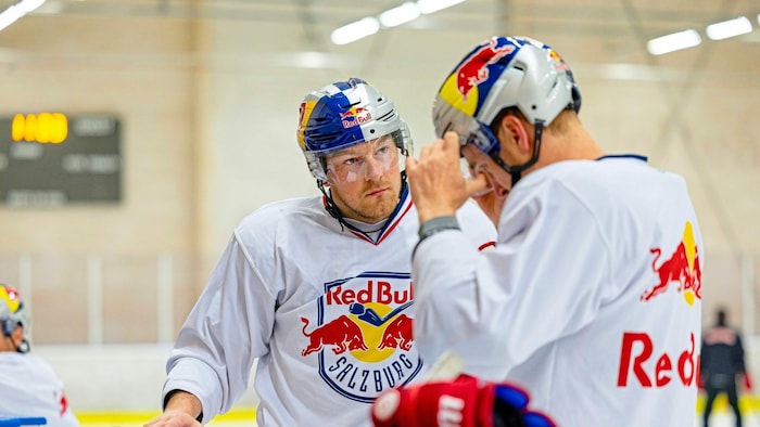 Trifft seine Verwandschaft: Eisbulle Dennis Robertson (li.).