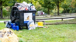 Neben „normalem“ Müll haben die Durchreisenden auch wieder jede Menge Kanister, eine Waschmaschine und auch ein Notstromaggregat achtlos in die Wiese geworfen. (Bild: Einöder Horst)