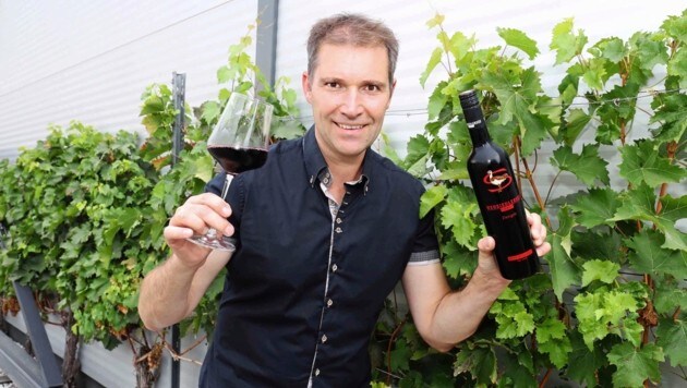 „Gemeinsam für den besten Genuss“, lautet ein Leitspruch der Scheiblhofer The Wine GmbH aus Andau. Erich, der Chef des Hauses, tritt im Finale „Rotwein reinsortig klassisch“ mit seinem Zweigelt Neusiedlersee DAC an. (Bild: Judt Reinhard)