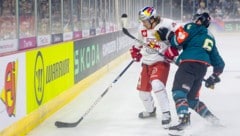 Red Bull Salzburg musste sich in der Champions Hockey League (CHL) bei den Belfast Giants mit 0:1 nach Verlängerung geschlagen geben. (Bild: GEPA pictures)