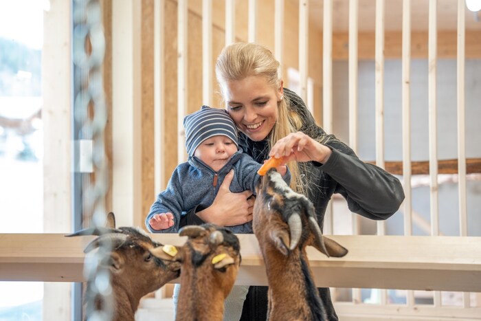 In der Außenanlage, dem Kinderland des Almfamilyhotels, befindet sich der 2.500 m2 große ...