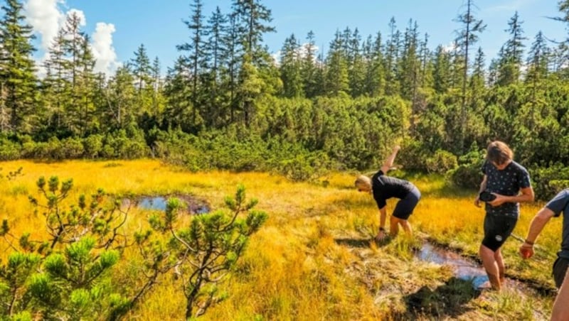 Ein Barfuß-Ausflug ins Hochmoor mit Silvana macht allen Spaß. (Bild: Brigitte Egger)