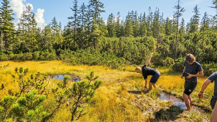 Ein Barfuß-Ausflug ins Hochmoor mit Silvana macht allen Spaß.