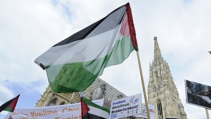 Immer wieder kommt es in Wien zu Protestaktionen pro-palästinensischer Aktivisten.