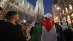 Die Flagge Palästinas steht in jenen Tagen auch für den Hass auf Israel. (Bild: APA/TOBIAS STEINMAURER)