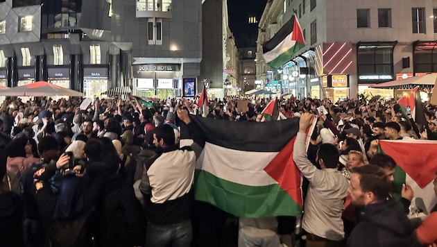 Pro-Palästinenser-Demo am Stephansplatz. Die Kundgebund war polizeilich untersagt, fand aber dennoch statt. (Bild: krone.tv)
