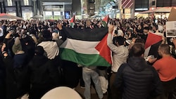 Trotz des Verbots versammelten sich Hunderte Aktivisten bei einer pro-palästinensischen Kundgebung am Stephansplatz. (Bild: Alexander Bischofberger-Mahr)