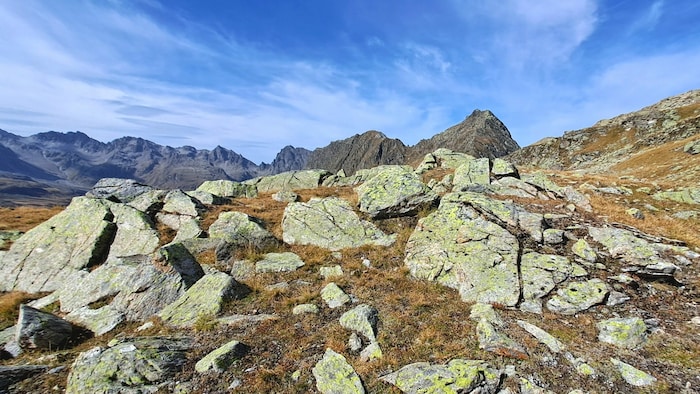 In der Silvretta lässt sich die Natur zu dieser Jahreszeit in aller Ruhe genießen.