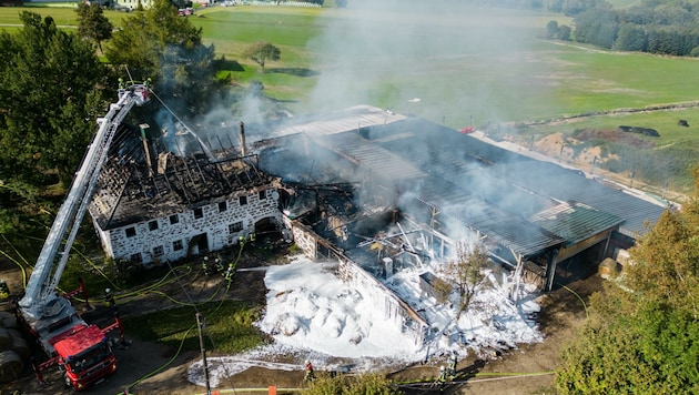Gleich 18 Feuerwehren kämpften vergangene Woche gegen die Flammen an. Die Tiere konnten noch gerettet werden, doch Bauernhof und Stall brannten völlig ab. (Bild: Kerschbaummayr Werner)