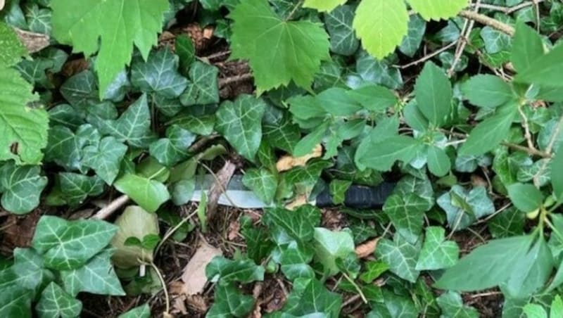 Polizeihund „Tell“ fand das Messer im Gebüsch. (Bild: LPD Stmk)