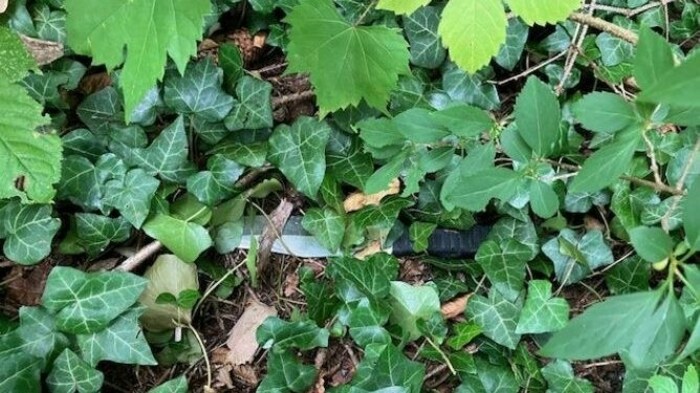 Polizeihund „Tell“ fand das Messer im Gebüsch.