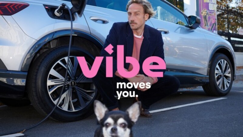 (Bild: vibe)