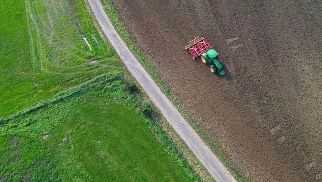 Die Zuckerindustrie in der EU steht unter Druck. (Bild: AFP/Kenzo TRIBOUILLARD)