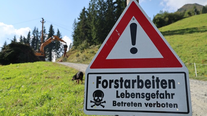 Tip from the forest professionals: Never ignore warning signs!