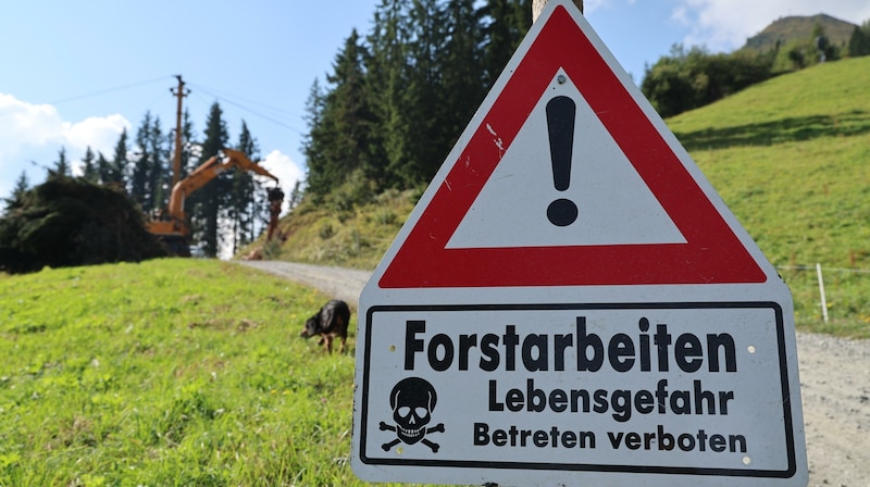 Tip from the forest professionals: Never ignore warning signs! (Bild: Birbaumer Christof)