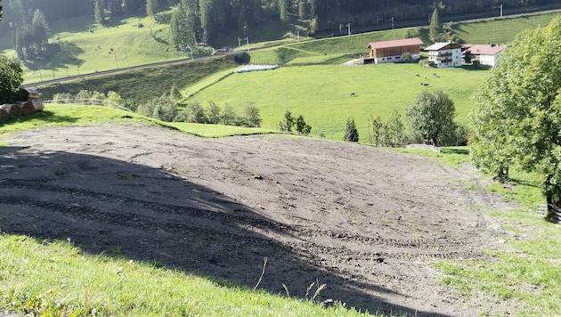 Der Bombenkrater ist nun beseitigt, aber es muss noch Gras drüber wachsen. (Bild: Peter Freiberger)