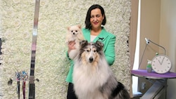Schönheit und Wohlbefinden der Hunde solle im Vordergrund stehen, meint Salonbetreiberin Katharina Leeder. Zuchtcollie Minnie wurde schon „verschnitten“. (Bild: ANDREAS TROESTER)