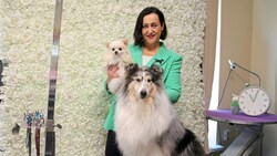 Schönheit und Wohlbefinden der Hunde solle im Vordergrund stehen, meint Salonbetreiberin Katharina Leeder. Zuchtcollie Minnie wurde schon „verschnitten“. (Bild: ANDREAS TROESTER)