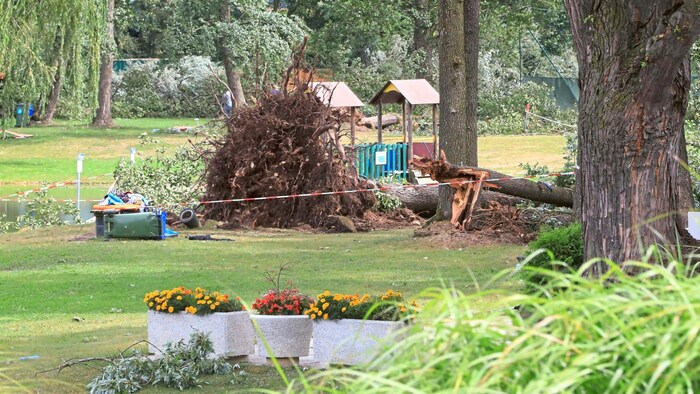 2022 Unwetter: Ein heftiger Sturm mit Orkanstärke fegte über das Lavanttal und entwurzelte ...