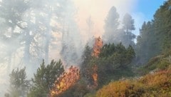 Tagelang loderten die Flammen (Bild: Feuerwehr Aigen)