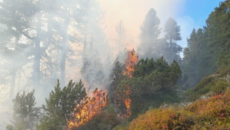 Der Grund für den Waldbrand ist aktuell noch nicht bekannt. (Bild: Feuerwehr Aigen)