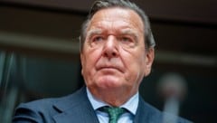 Deutschlands Altkanzler Gerhard Schröder übt Kritik an seiner eigenen Partei. (Bild: APA/dpa/Kay Nietfeld)