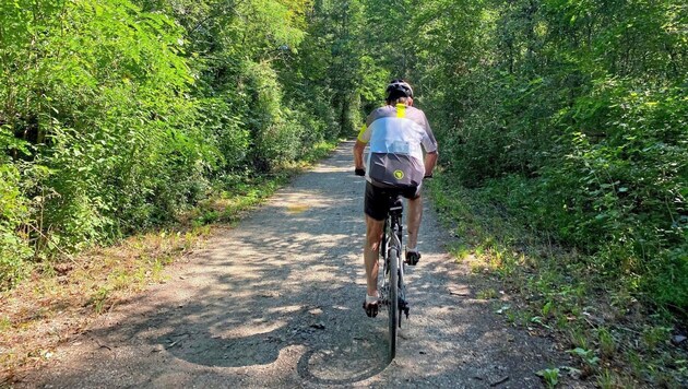 Die Lobau ist seit jeher eine beliebte Destination für Wiens Radfahrer. (Bild: Christoph Engelmaier)