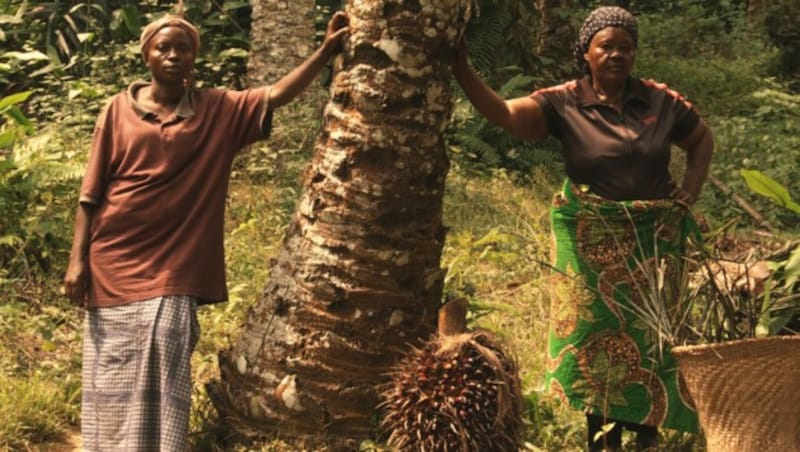 „Amuka“ nimmt sich dem Schicksal von Kleinbauern in der Demokratischen Republik Kongo an. (Bild: Antonio Spano)