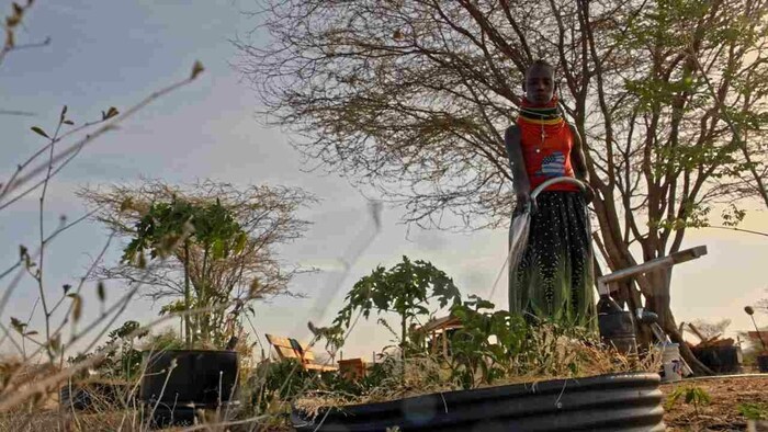 Warum werden in Afrika Pestizide verkauft, die bei uns längst verboten sind? Der Film „Giftiges ...
