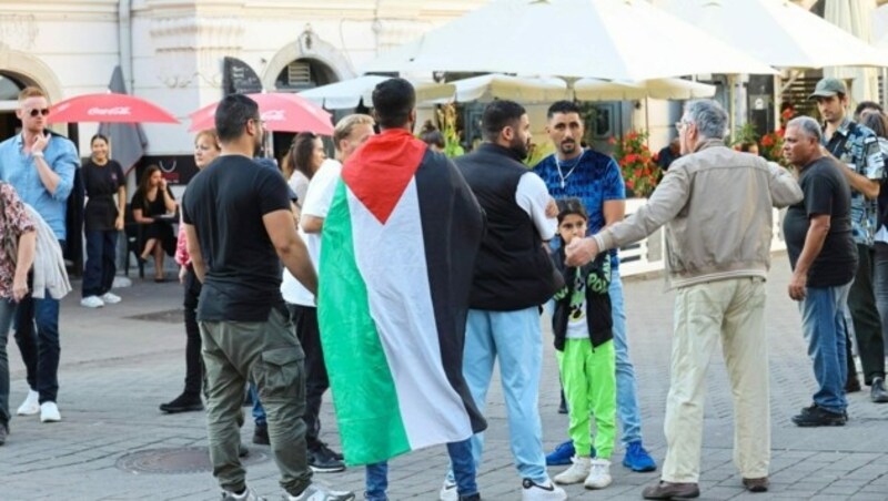 Pro-palästinensische Demos sorgen für Ärger (Bild: Christian Jauschowetz)