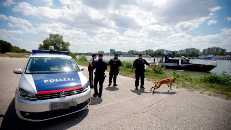 Polizeieinsatz auf der Donauinsel (Symbolbild) (Bild: APA/GEORG HOCHMUTH, Krone KREATIV)