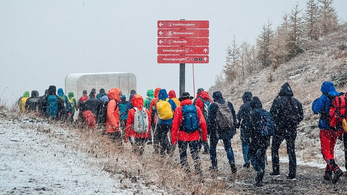 Trotz leichtem Schneefall wanderten die Wandertag-Teilnehmer talwärts.