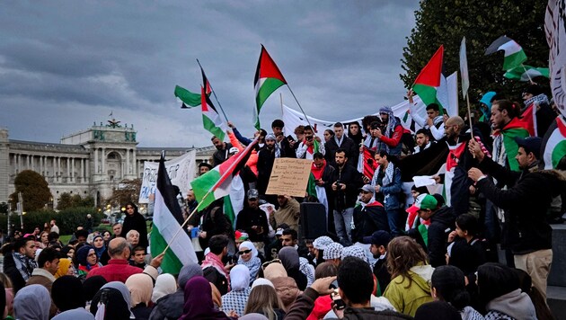 Pro-Palästina-Proteste in Wien (Bild: AFP)